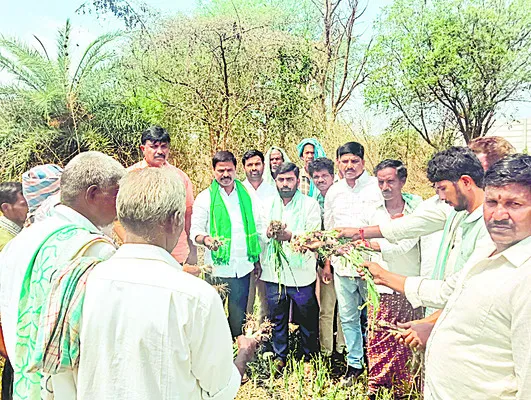 పంటల నష్టం అంచనా వేయాలి