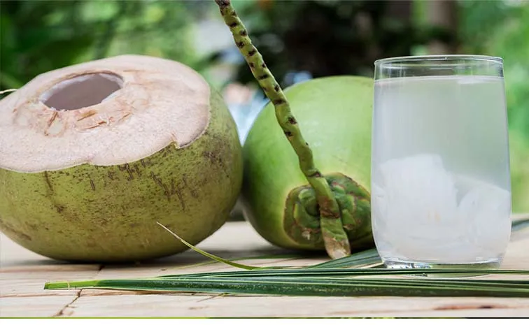 Drink A Glass Of Water: Doctor Calls Coconut Water Overrated