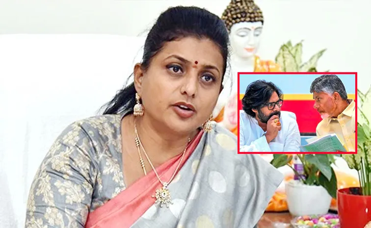 RK Roja Fires On Chandrababu