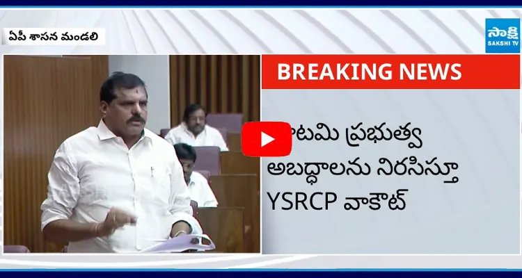 శాసన మండలి నుంచి వాకౌట్ చేసిన YSRCP ఎమ్మెల్సీలు