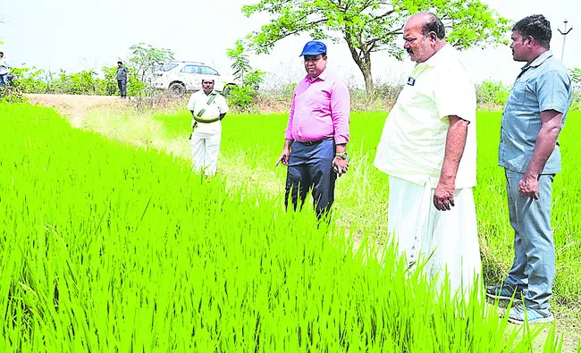 సాగునీటి నిర్వహణకు పటిష్ట చర్యలు