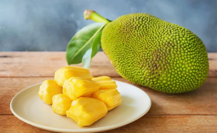 There is a great demand for Uddanam Jackfruit