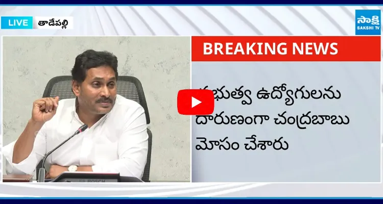 YS Jagan Shocking Fact About AP Budget 2025