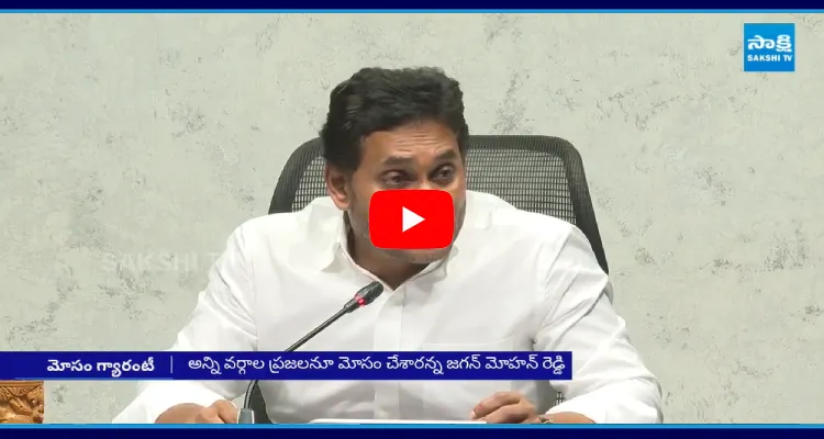 YS Jagan Fire On Chandrababu Government Lies In AP Budget 2025 