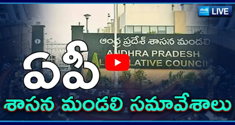 Watch Live AP Legislative Council Sessions 2025