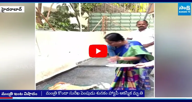 Konda Surekha Emotional Due to Her Dog Demise