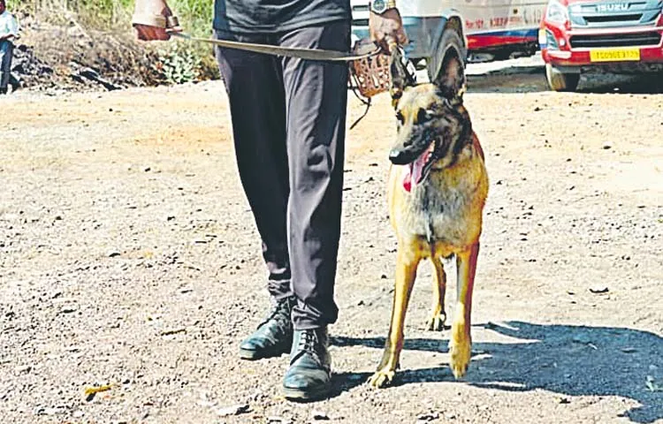 Cadaver dogs arrive at SLBC tunnel to sniff out workers