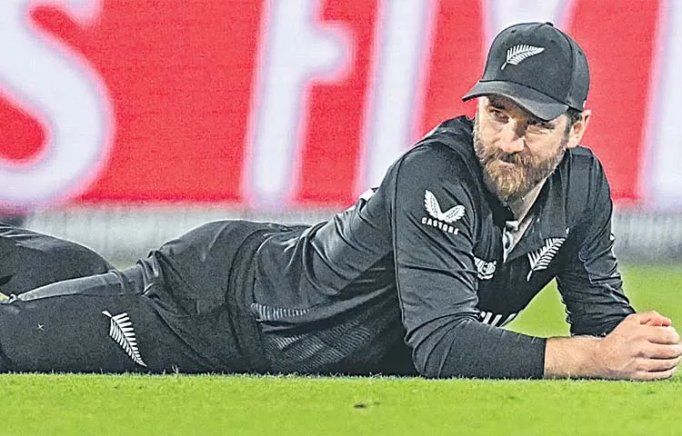 New Zealand star Williamson comments on Champions Trophy final  