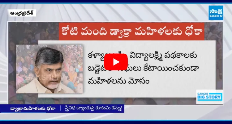 Dwcra Women Loans Exposed In Chandrababu Conspiracy