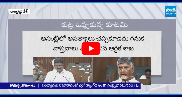 Chandrababu Fake Propaganda On YS Jagan Before Elections