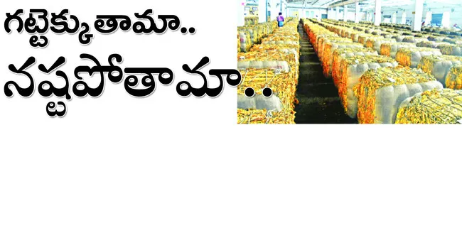 ధరలు 