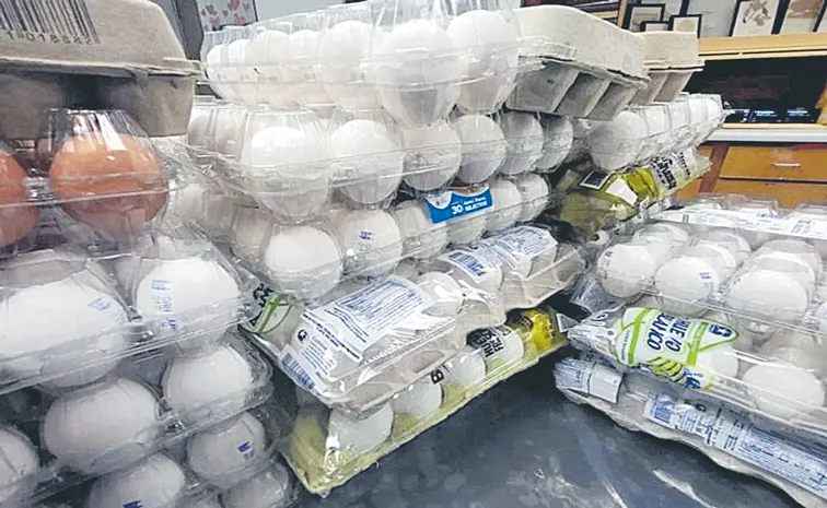 US customs seizing more eggs than drugs at Canada border