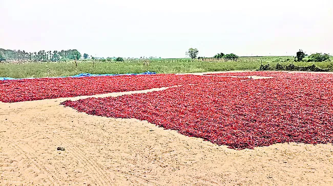 నష్టా