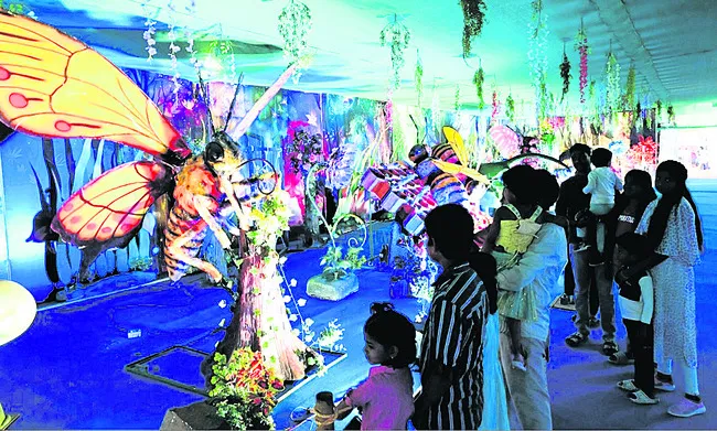 భలే.. సీతాకోకచిలుకలు