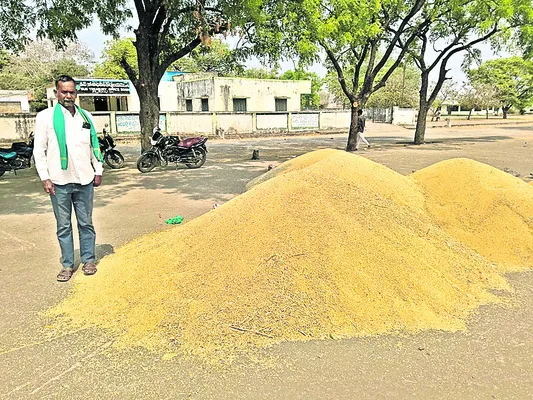 జొన్న కొనుగోళ్లెప్పుడో?