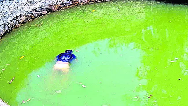 వస్త్
