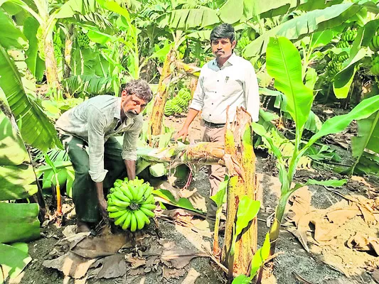 ప్రైవేట్ అభ్యర్థులకు ఐటీఐ పరీక్షలకు అర్హత