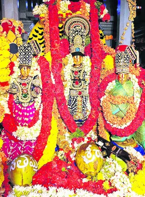 వాల్మ