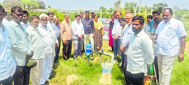 ఆయిల్పామ్ సాగుతో లాభాలు