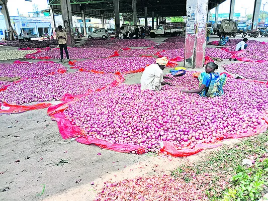 ధర పత