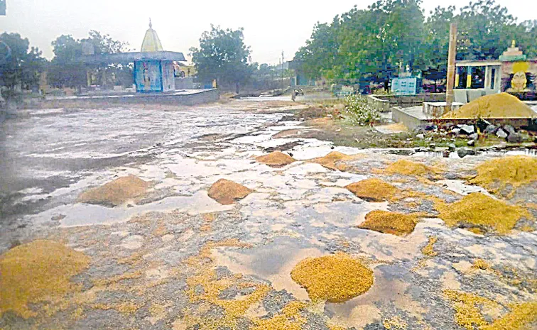 Crop damage with Unseasonal Rains