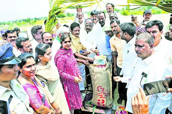 ధాన్య