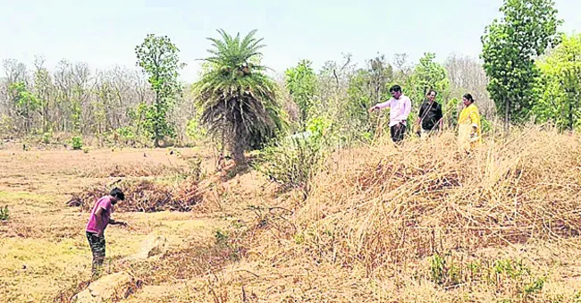 ప్లాంటేషన్ను సందర్శించిన ఎఫ్డీవో