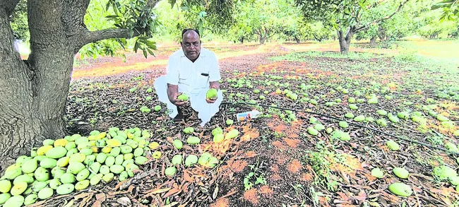 ఈదురు