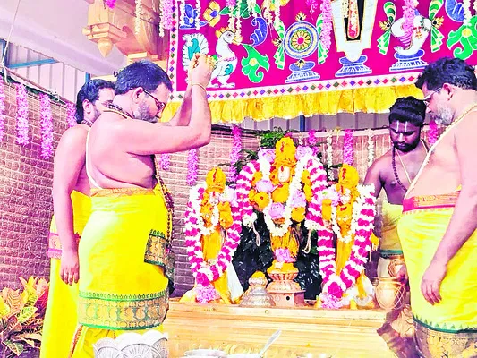 హంస వ