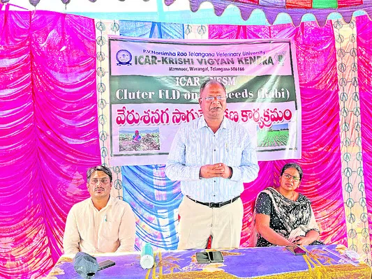 వేరుశనగ సాగుపై రైతులకు శిక్షణ