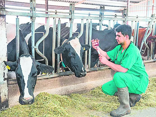 పదోన్నతులు.. బదిలీలు