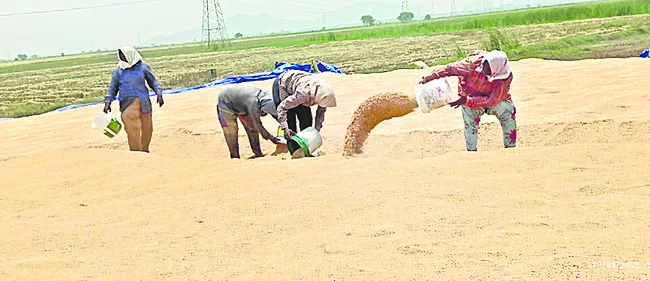 ధరకు