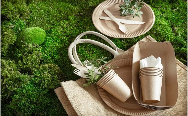 Biodegradable Plastics Commonly Produced With Renewable Raw Materials