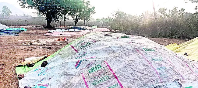 వణికి