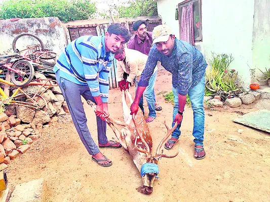 జలం క