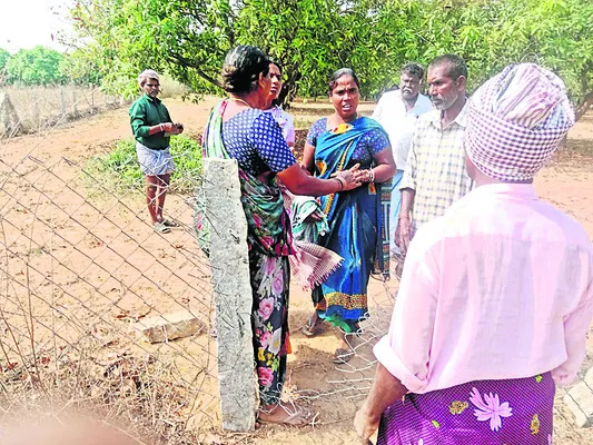 వృద్ధ