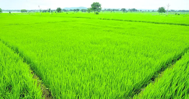 భూ భా