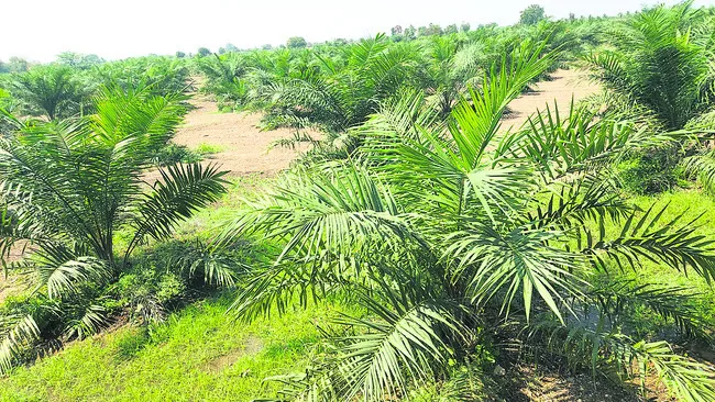 జాగ్ర