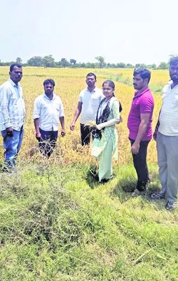 రైతన్