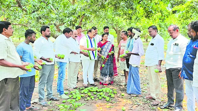 నష్టపోయిన రైతుల్ని ప్రభుత్వం ఆదుకోవాలి