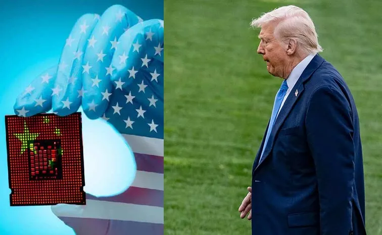 Netizens Fully Video Creations On Donald Trump