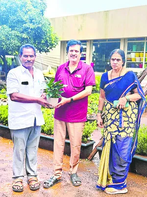 నర్సర