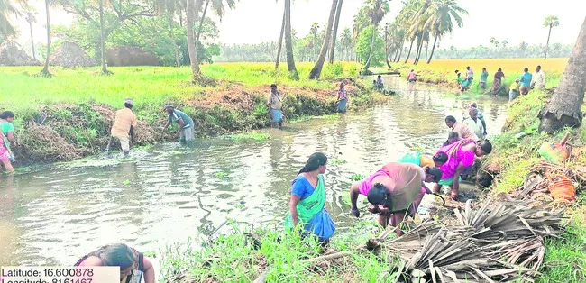 కూలి డబ్బుల కోసం ఎదురుచూపులు