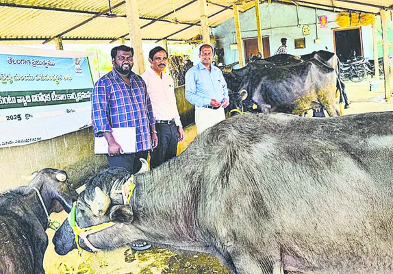 24న ట