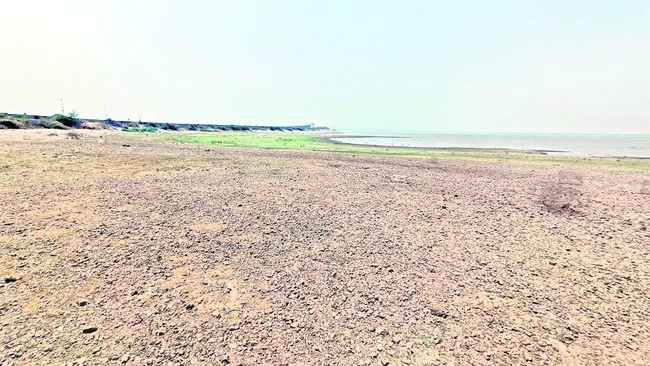 డెడ్