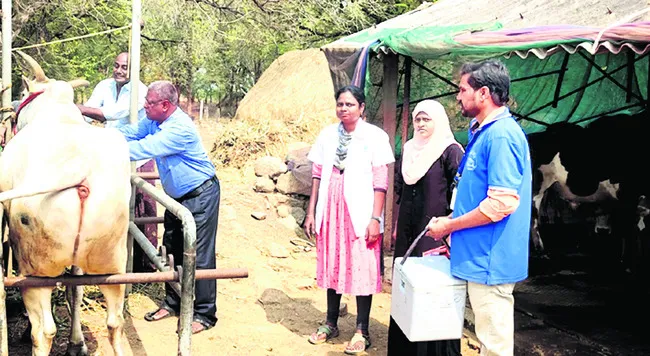 పశు సంపదను కాపాడేందుకే టీకాలు