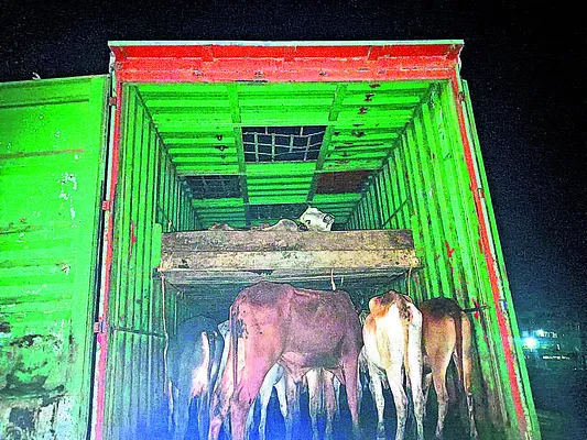 లారీ డ్రైవర్కు ఆరు నెలల జైలు
