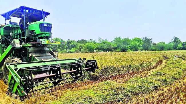 ధర లే