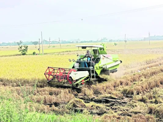 పెరిగ
