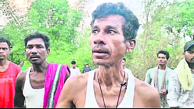 విద్య